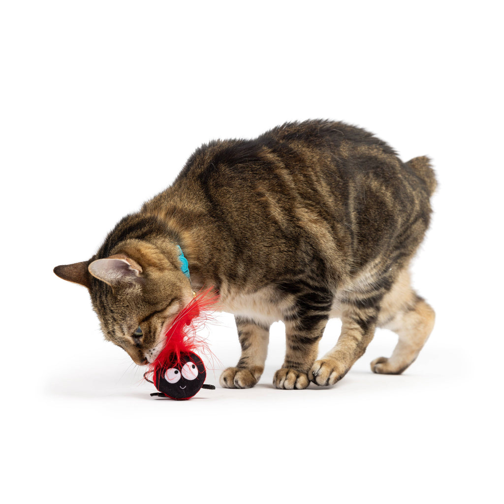 Ladybug Flinger Plush Toy for Cats - The Dog Shop