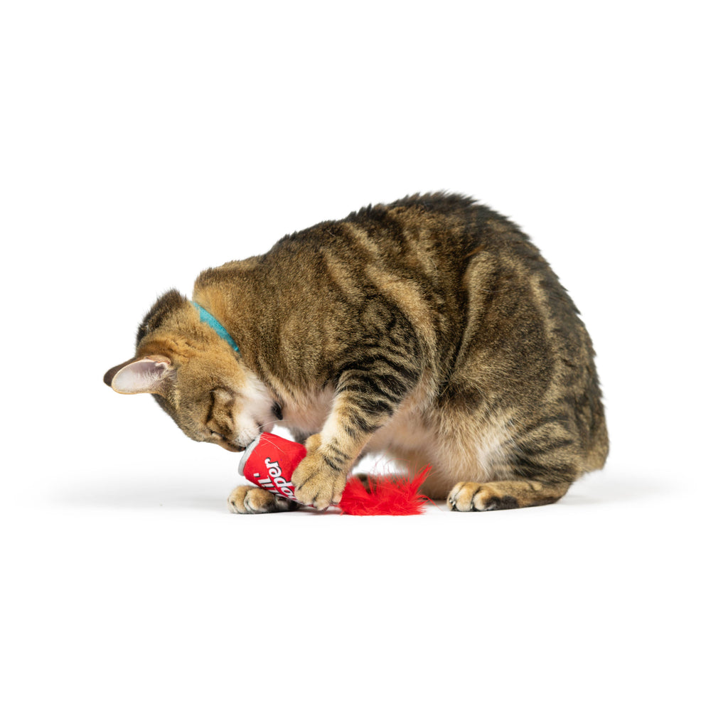 Lil' Pooper for Cats - The Dog Shop