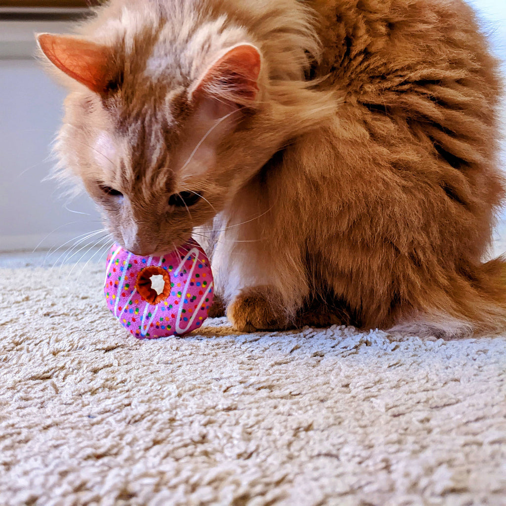 Strawberry Donut for Cats - The Dog Shop