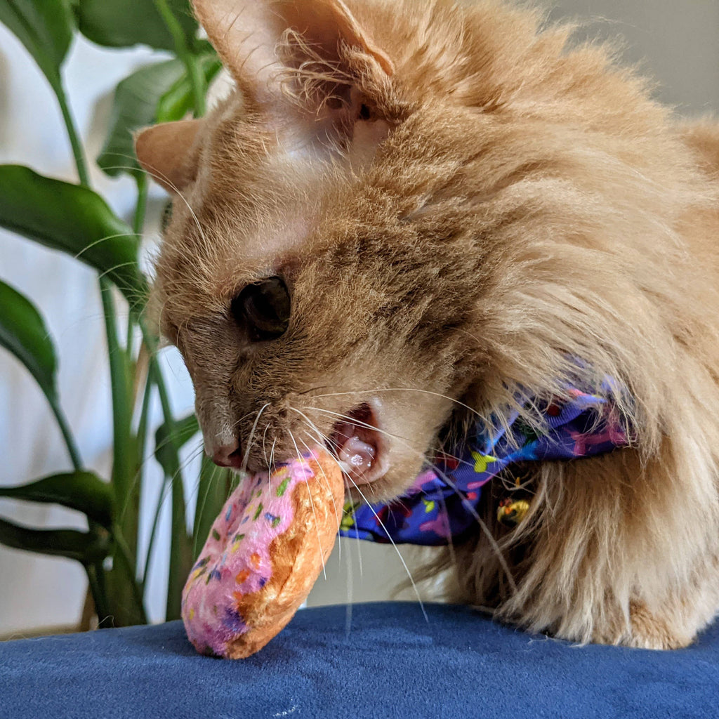 Strawberry Donut for Cats - The Dog Shop