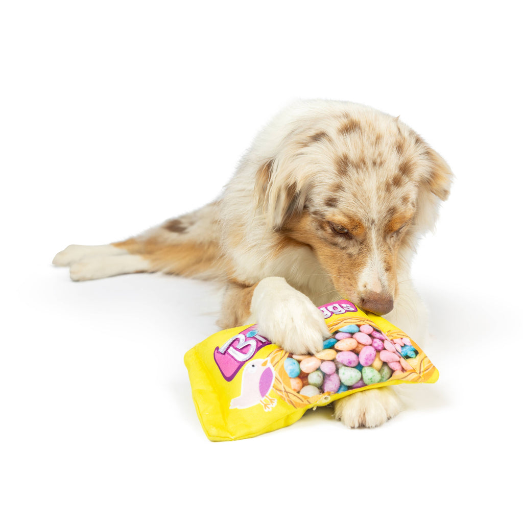 Birdy Eggs Dog Toy - The Dog Shop