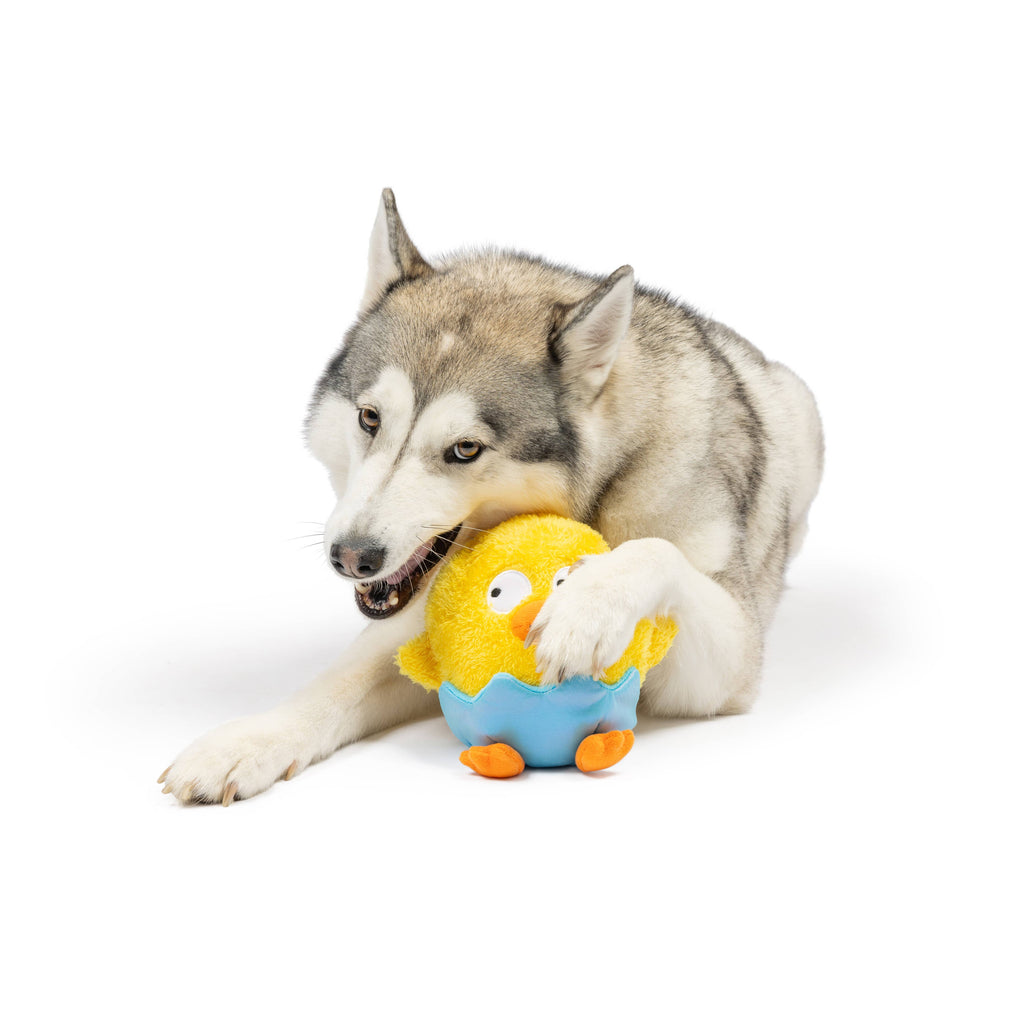 Chick-A-Dee Dog Toy - The Dog Shop