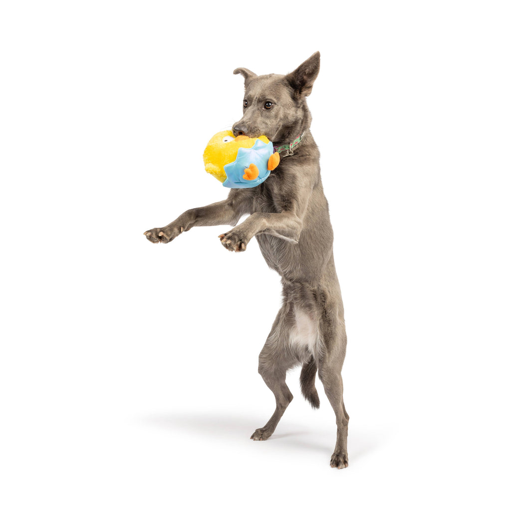 Chick-A-Dee Dog Toy - The Dog Shop