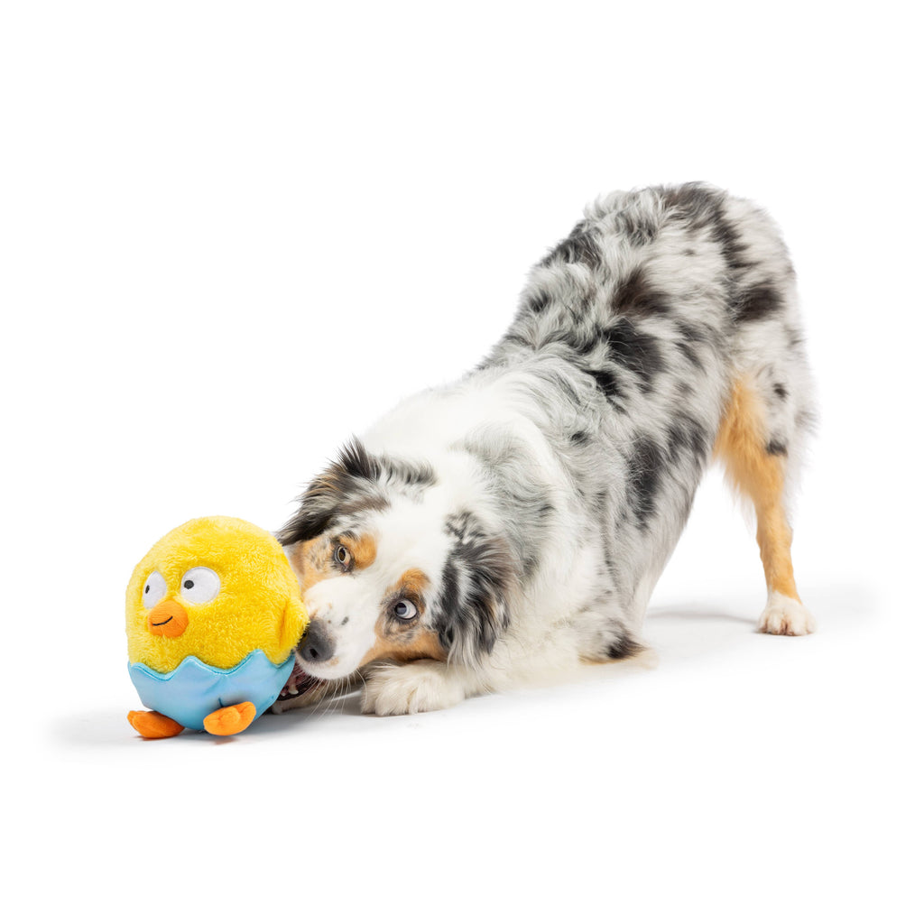 Chick-A-Dee Dog Toy - The Dog Shop
