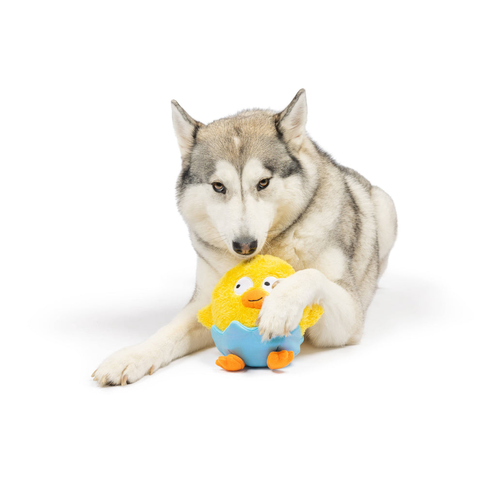 Chick-A-Dee Dog Toy - The Dog Shop