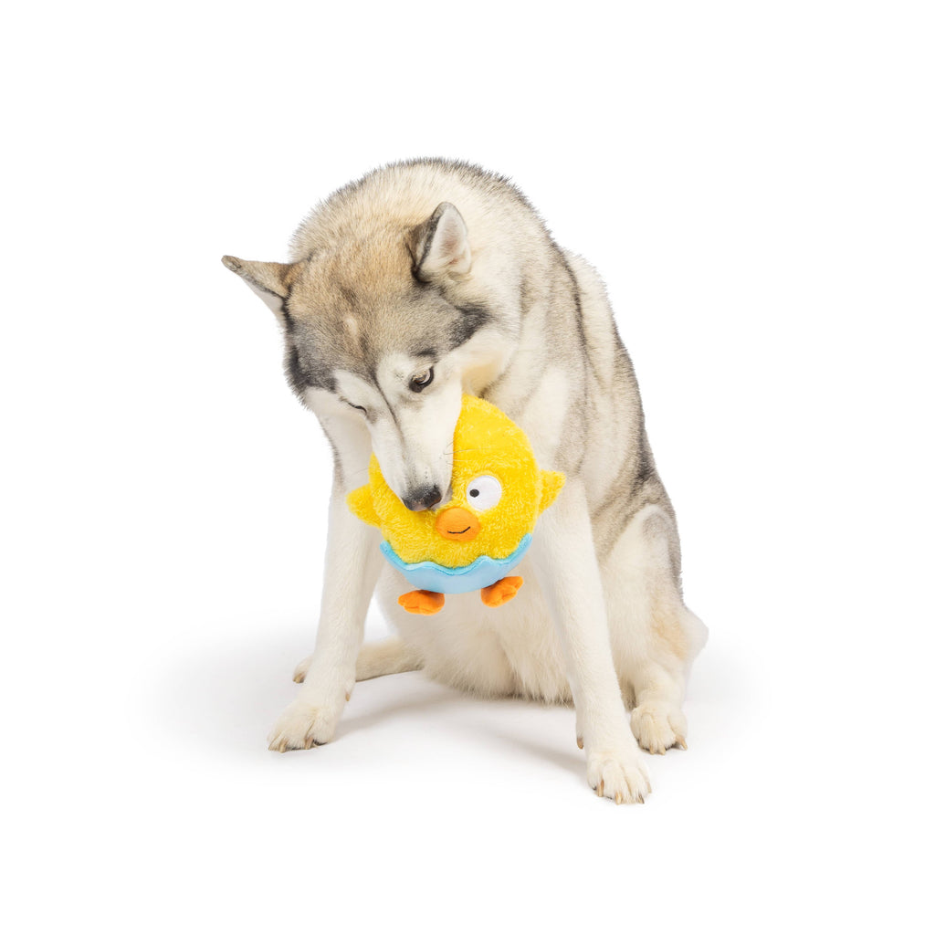 Chick-A-Dee Dog Toy - The Dog Shop