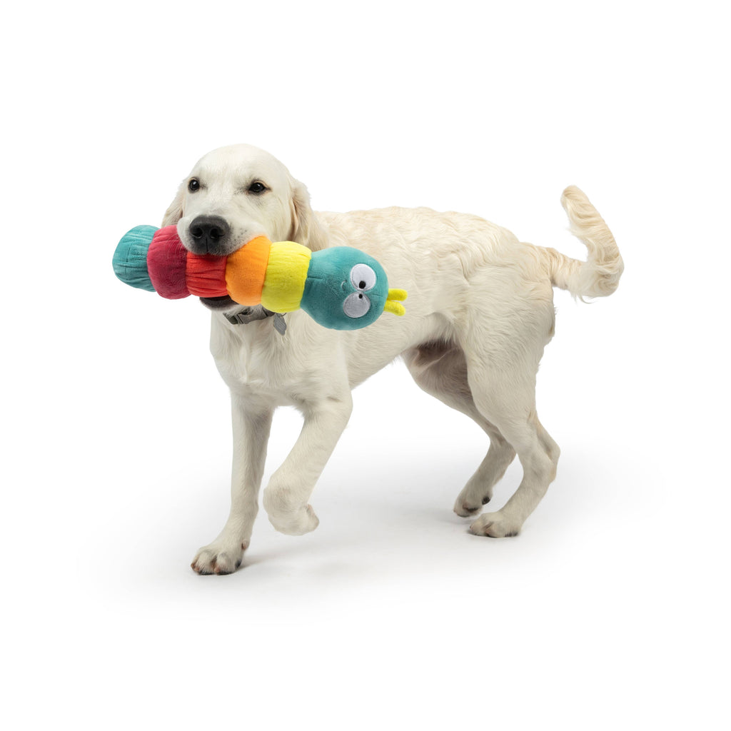 Fetchies® Caterpillar Plush Dog Toy - The Dog Shop