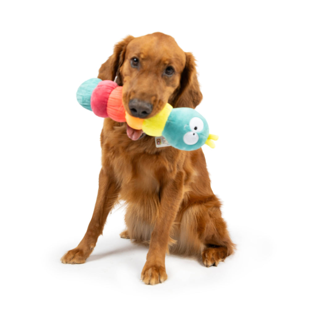 Fetchies® Caterpillar Plush Dog Toy - The Dog Shop