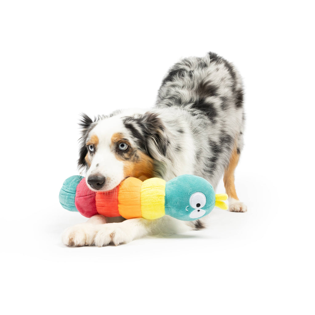 Fetchies® Caterpillar Plush Dog Toy - The Dog Shop
