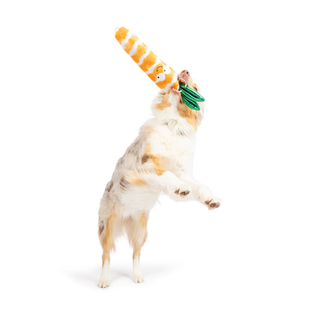 Fetchies® Sweet Carrot Dog Toy - The Dog Shop