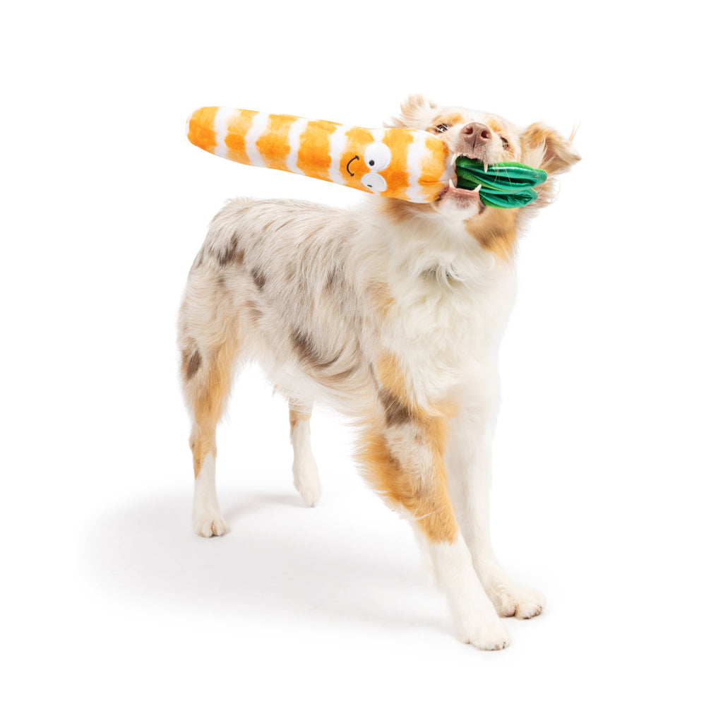 Fetchies® Sweet Carrot Dog Toy - The Dog Shop