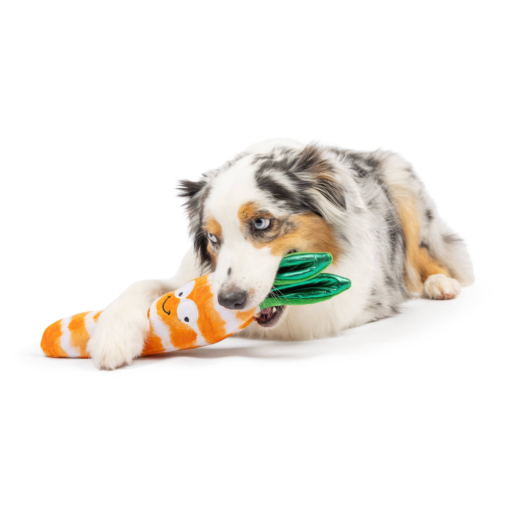 Fetchies® Sweet Carrot Dog Toy - The Dog Shop