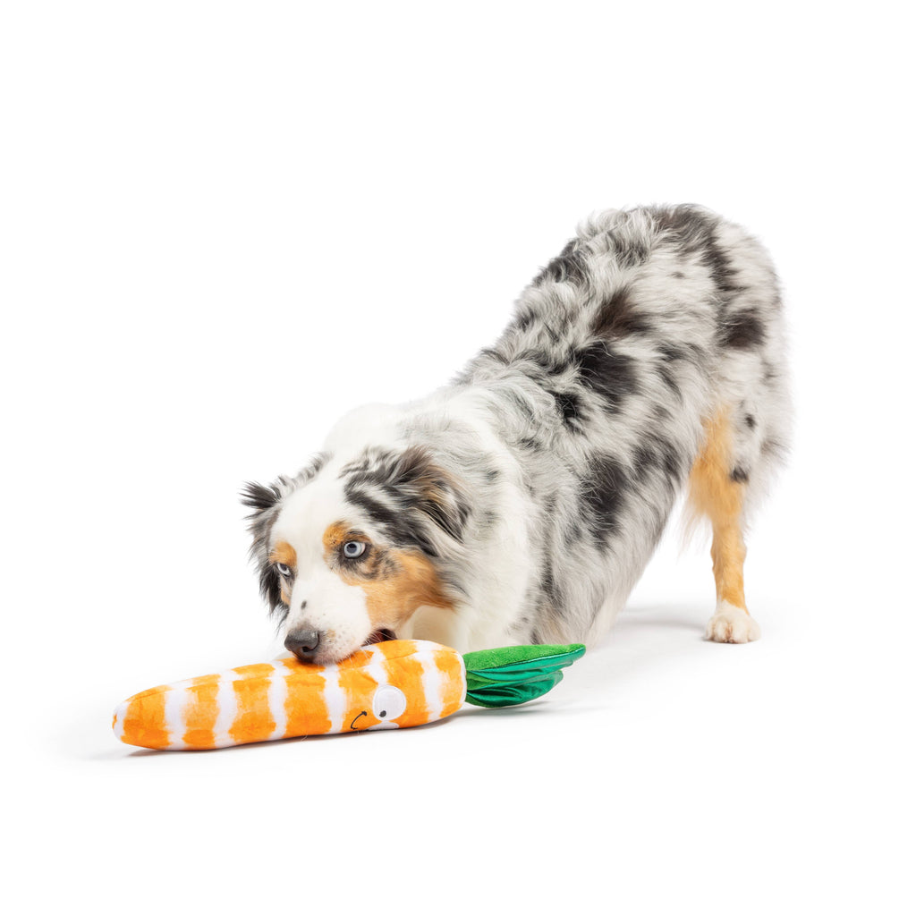 Fetchies® Sweet Carrot Dog Toy - The Dog Shop