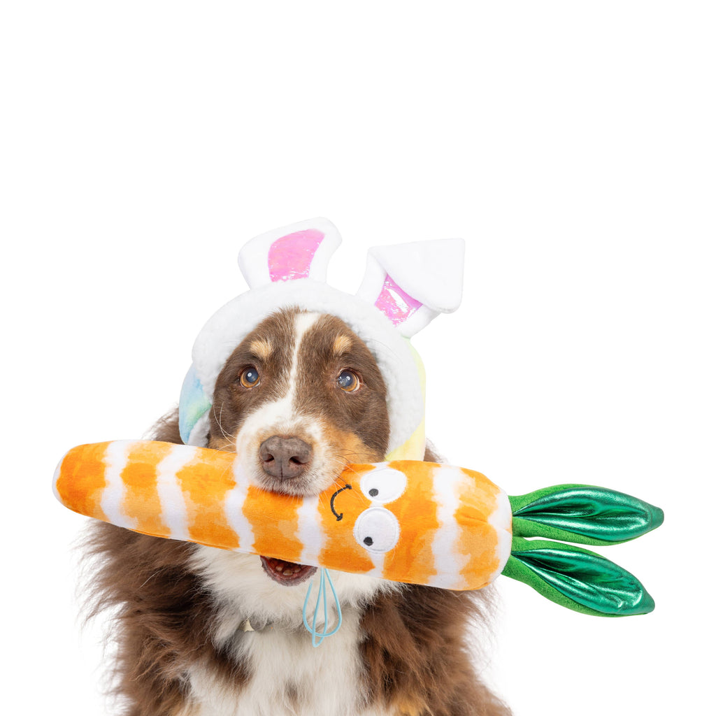 Fetchies® Sweet Carrot Dog Toy - The Dog Shop