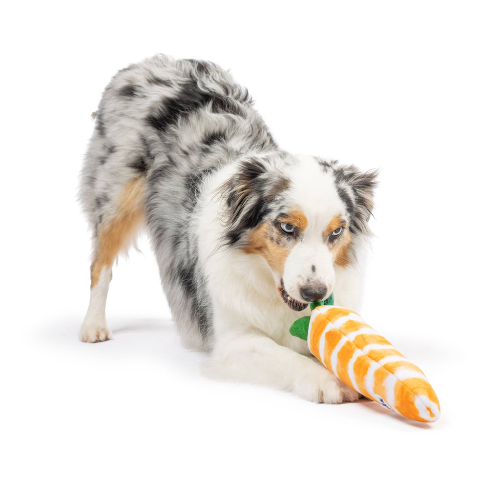 Fetchies® Sweet Carrot Dog Toy - The Dog Shop