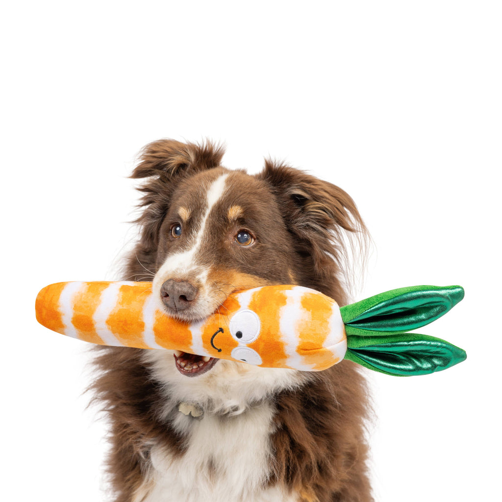 Fetchies® Sweet Carrot Dog Toy - The Dog Shop