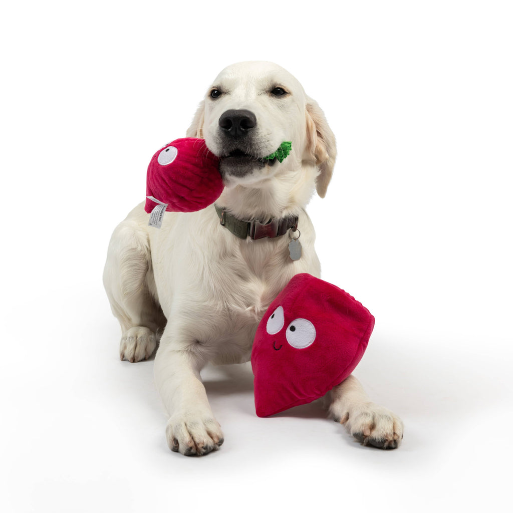 Pop 'n Fetch Beet Plush Dog Toy - The Dog Shop