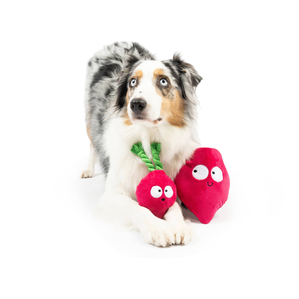 Pop 'n Fetch Beet Plush Dog Toy - The Dog Shop