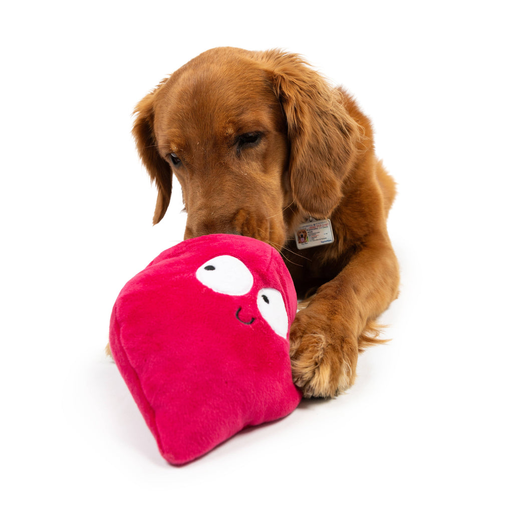 Pop 'n Fetch Beet Plush Dog Toy - The Dog Shop