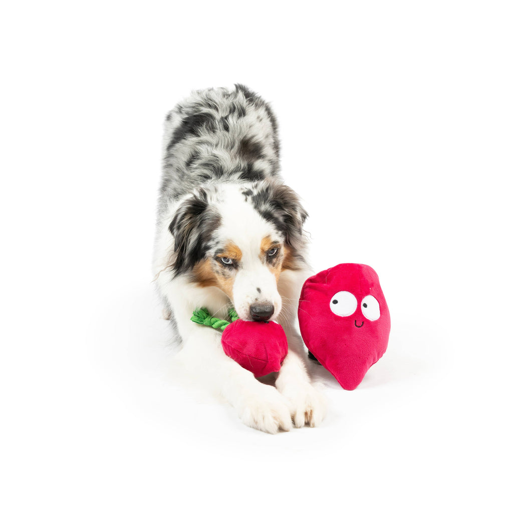 Pop 'n Fetch Beet Plush Dog Toy - The Dog Shop