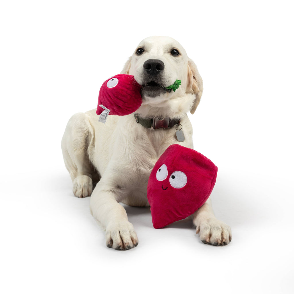 Pop 'n Fetch Beet Plush Dog Toy - The Dog Shop