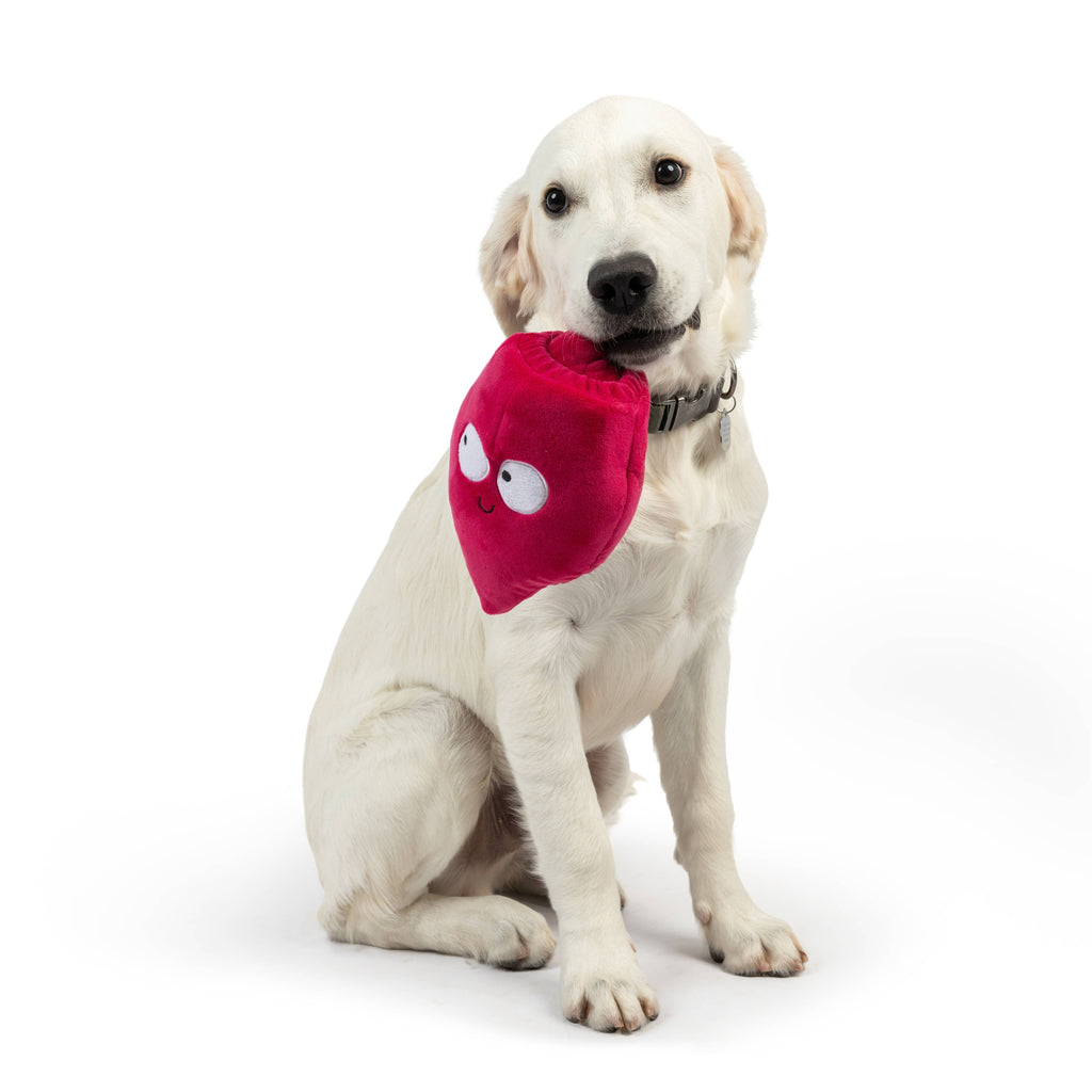 Pop 'n Fetch Beet Plush Dog Toy - The Dog Shop
