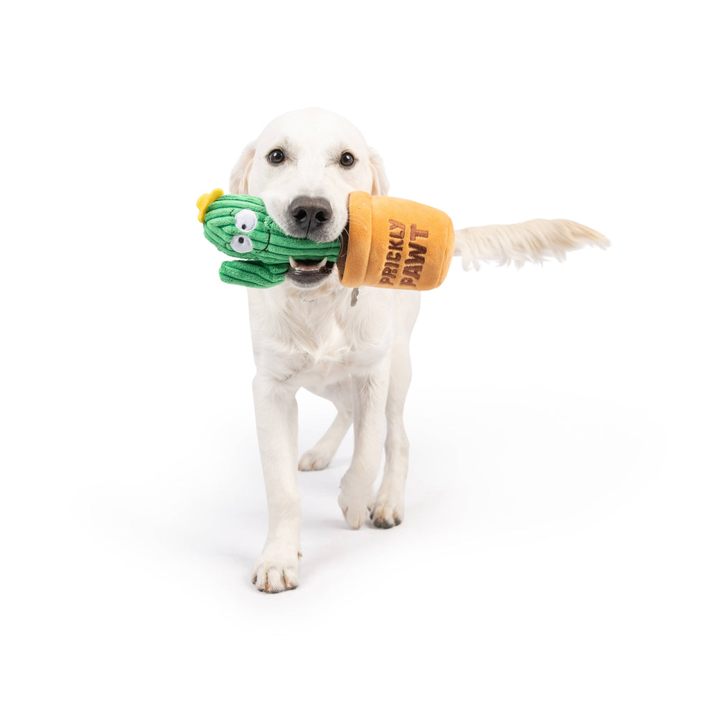 Seek 'n Treat Prickly Plush Dog Toy - The Dog Shop