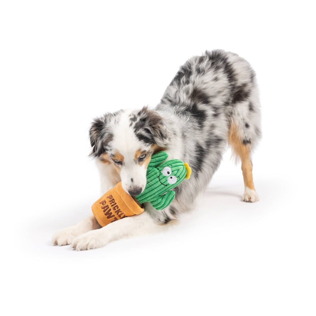 Seek 'n Treat Prickly Plush Dog Toy - The Dog Shop