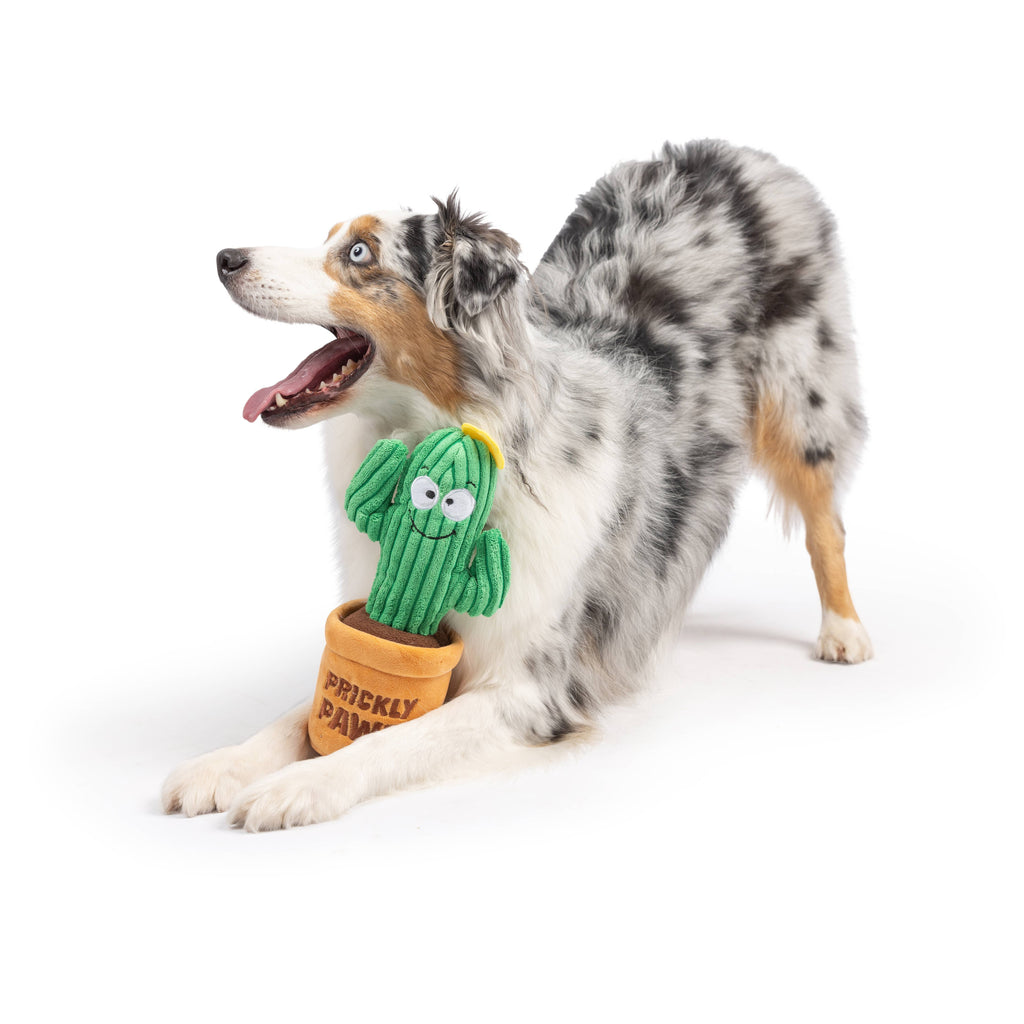 Seek 'n Treat Prickly Plush Dog Toy - The Dog Shop