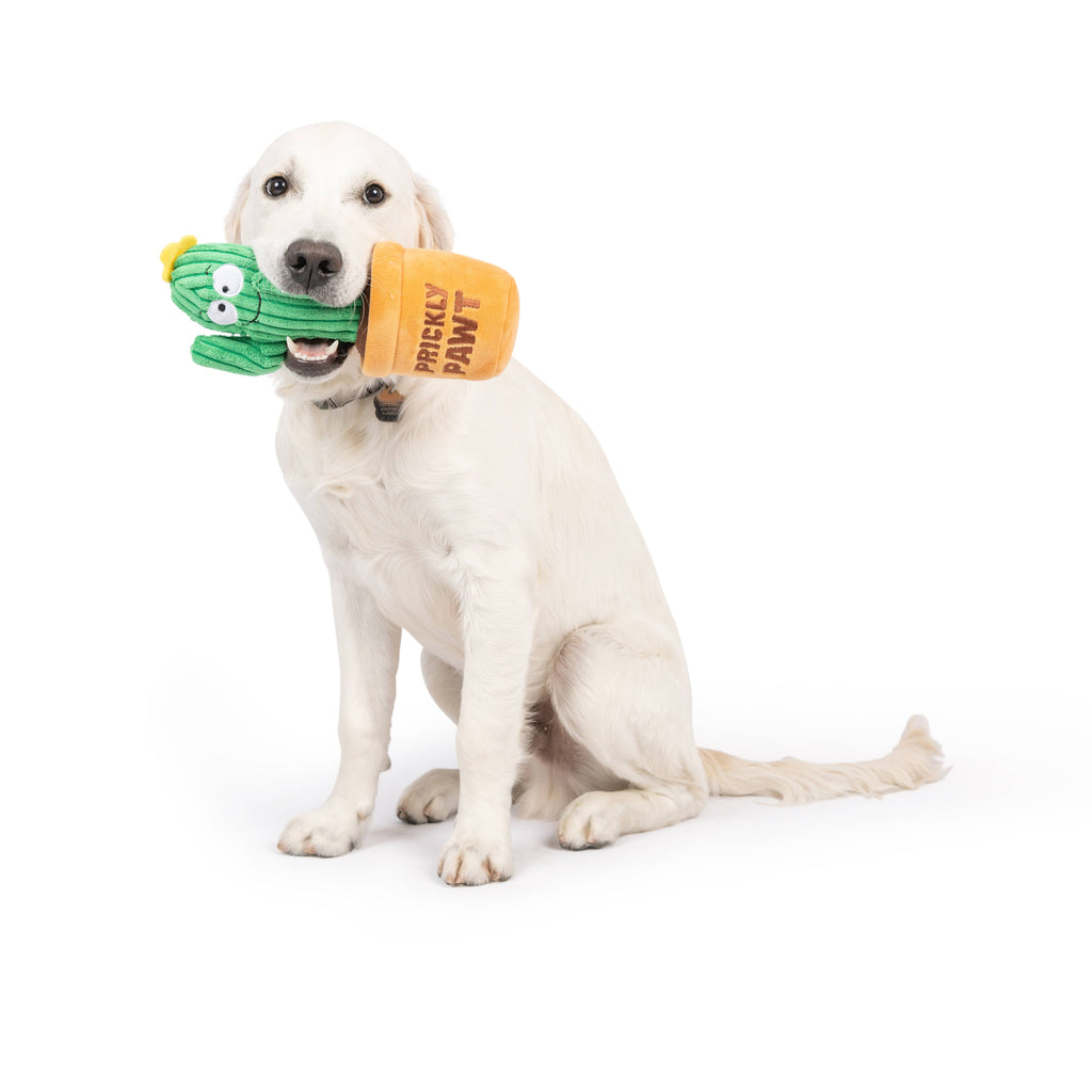 Seek 'n Treat Prickly Plush Dog Toy - The Dog Shop
