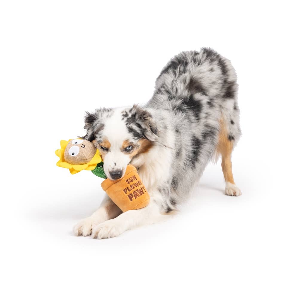 Seek 'n Treat Sunflower Plush Dog Toy - The Dog Shop