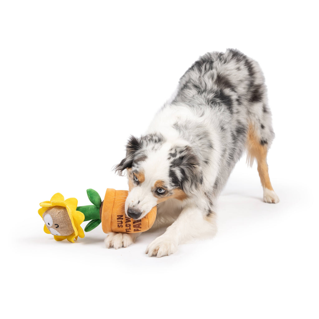 Seek 'n Treat Sunflower Plush Dog Toy - The Dog Shop