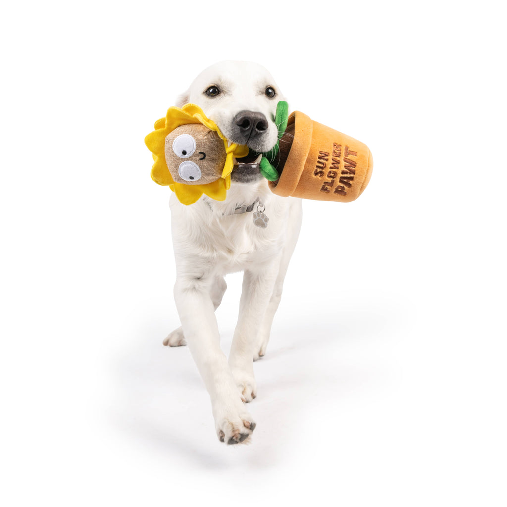 Seek 'n Treat Sunflower Plush Dog Toy - The Dog Shop