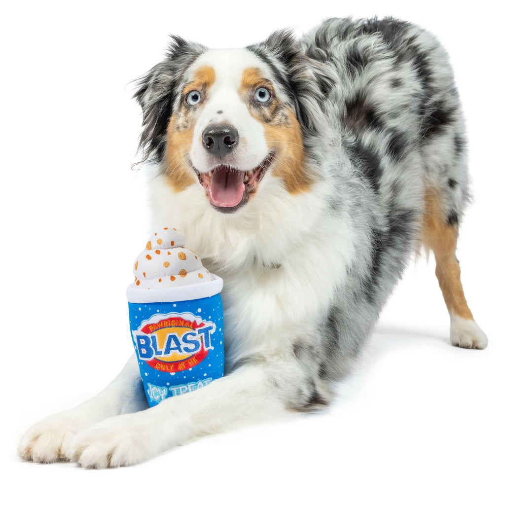 Arctic Blast Treat Dog Toy - The Dog Shop