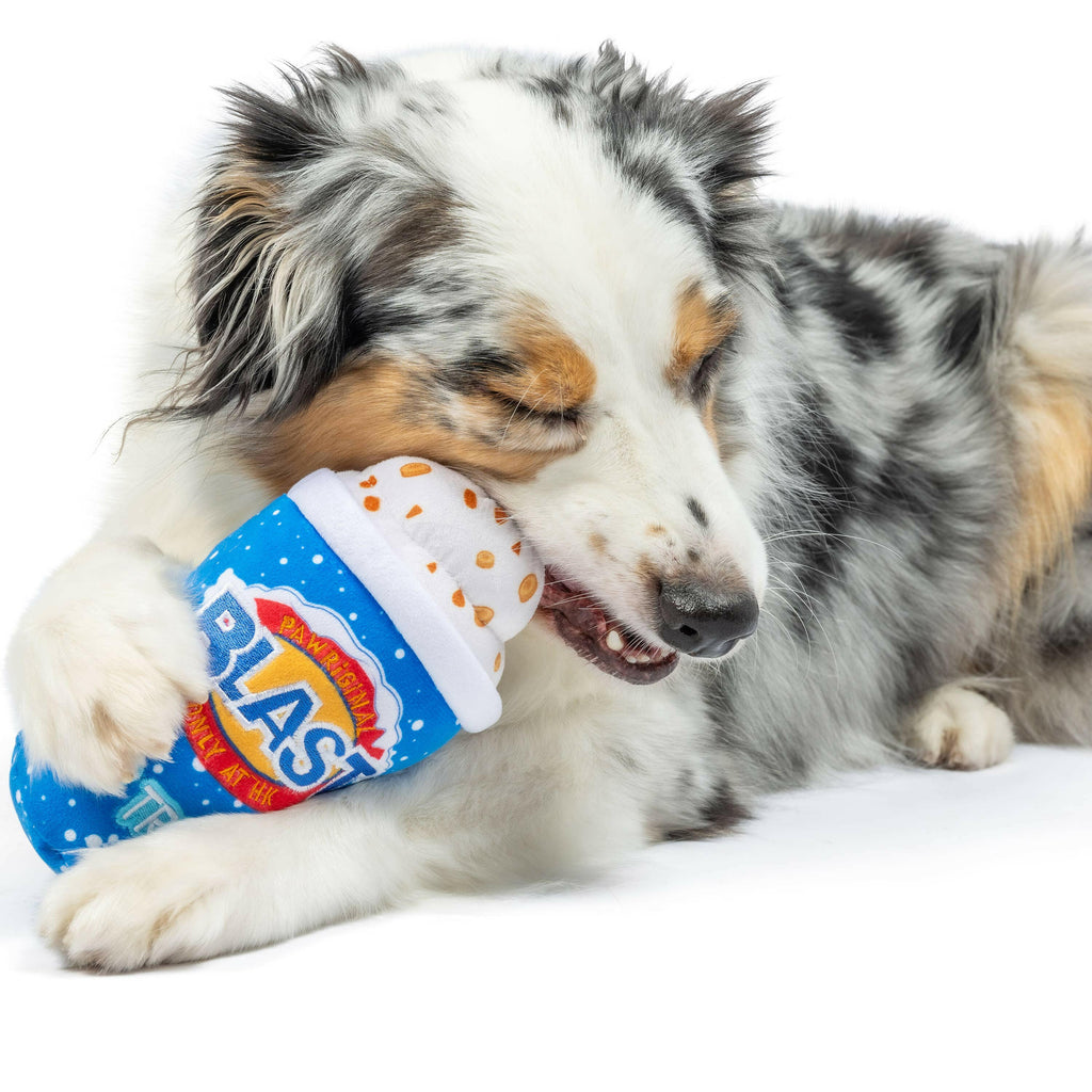 Arctic Blast Treat Dog Toy - The Dog Shop