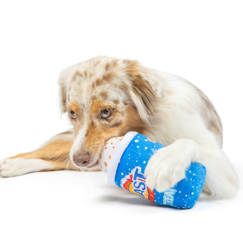 Arctic Blast Treat Dog Toy - The Dog Shop
