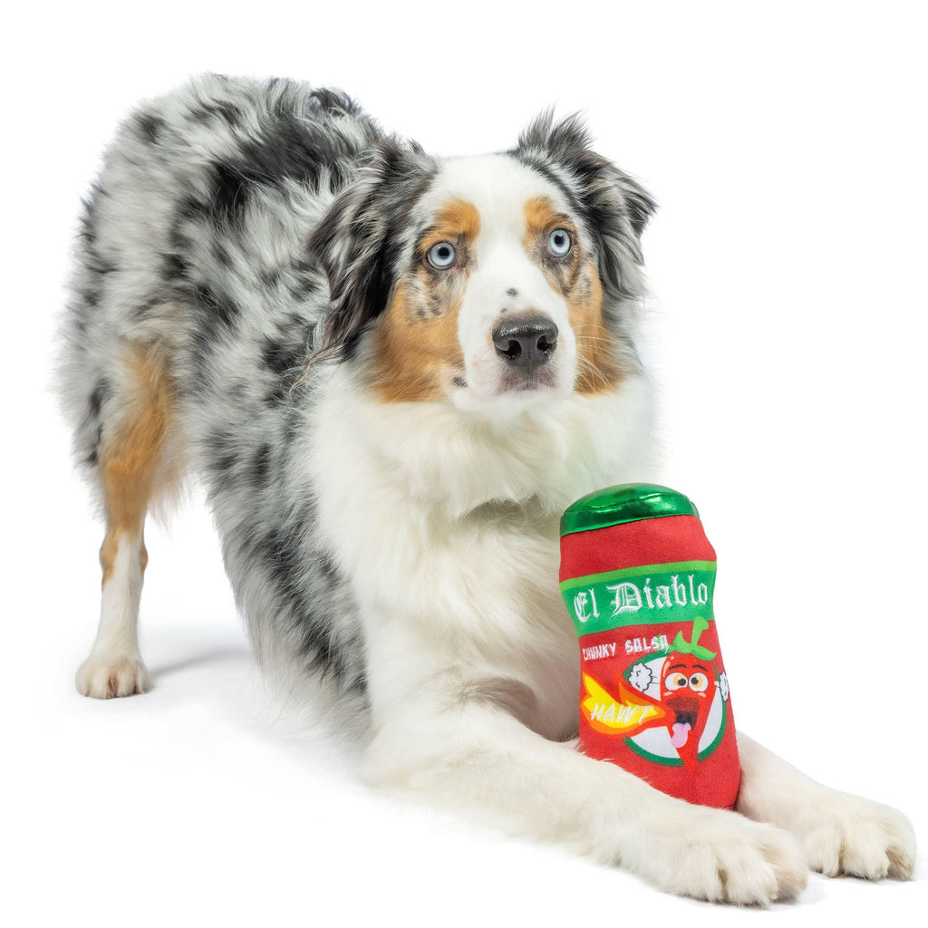 El Diablo Spicy Salsa Dog Toy - The Dog Shop