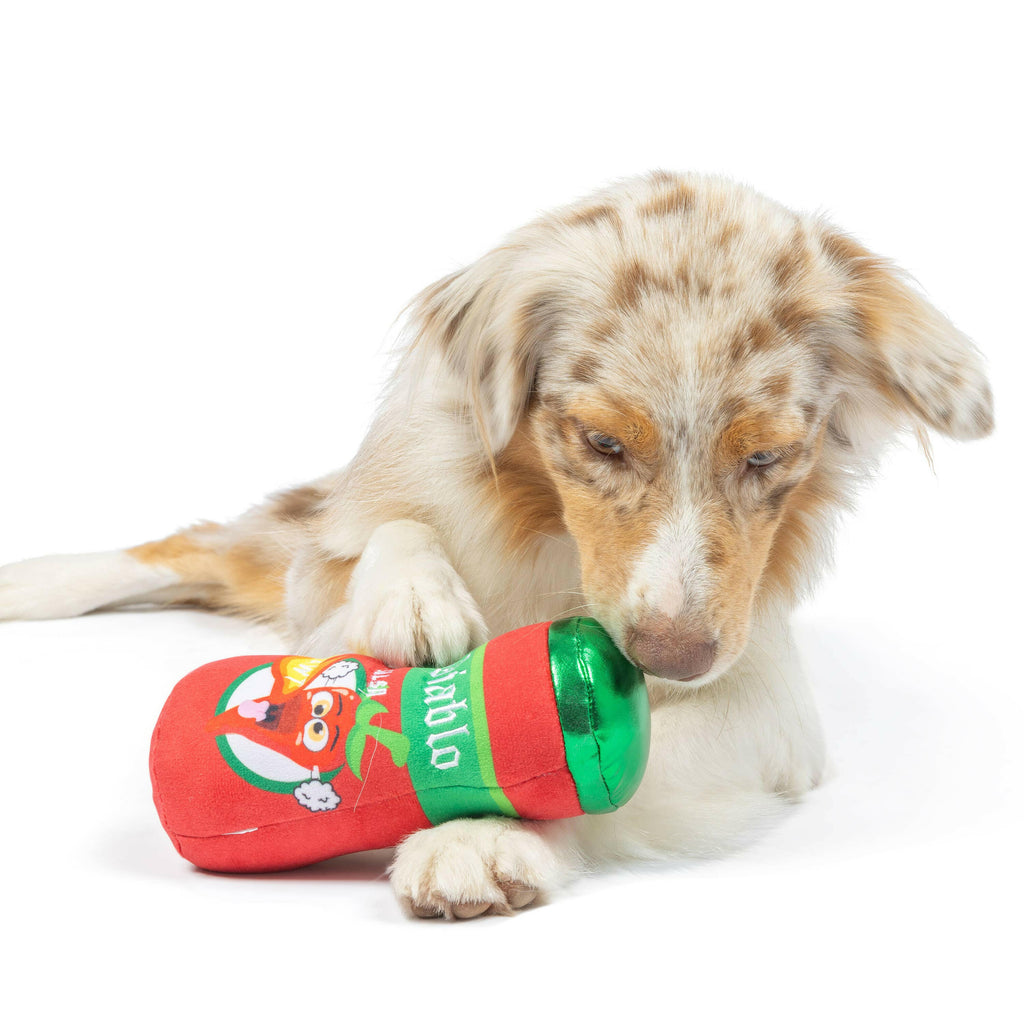 El Diablo Spicy Salsa Dog Toy - The Dog Shop