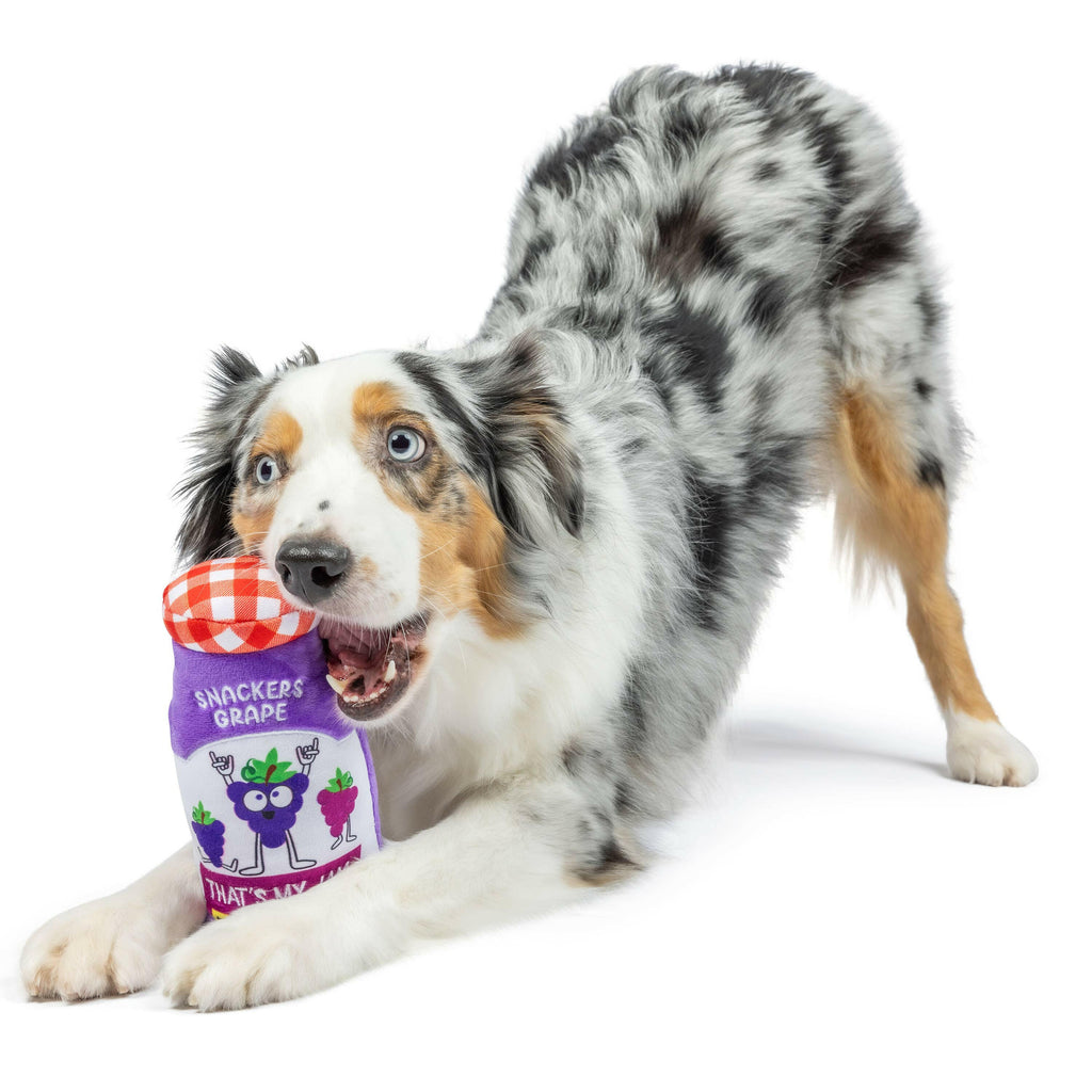 Snackers Grape Jam Dog Toy - The Dog Shop