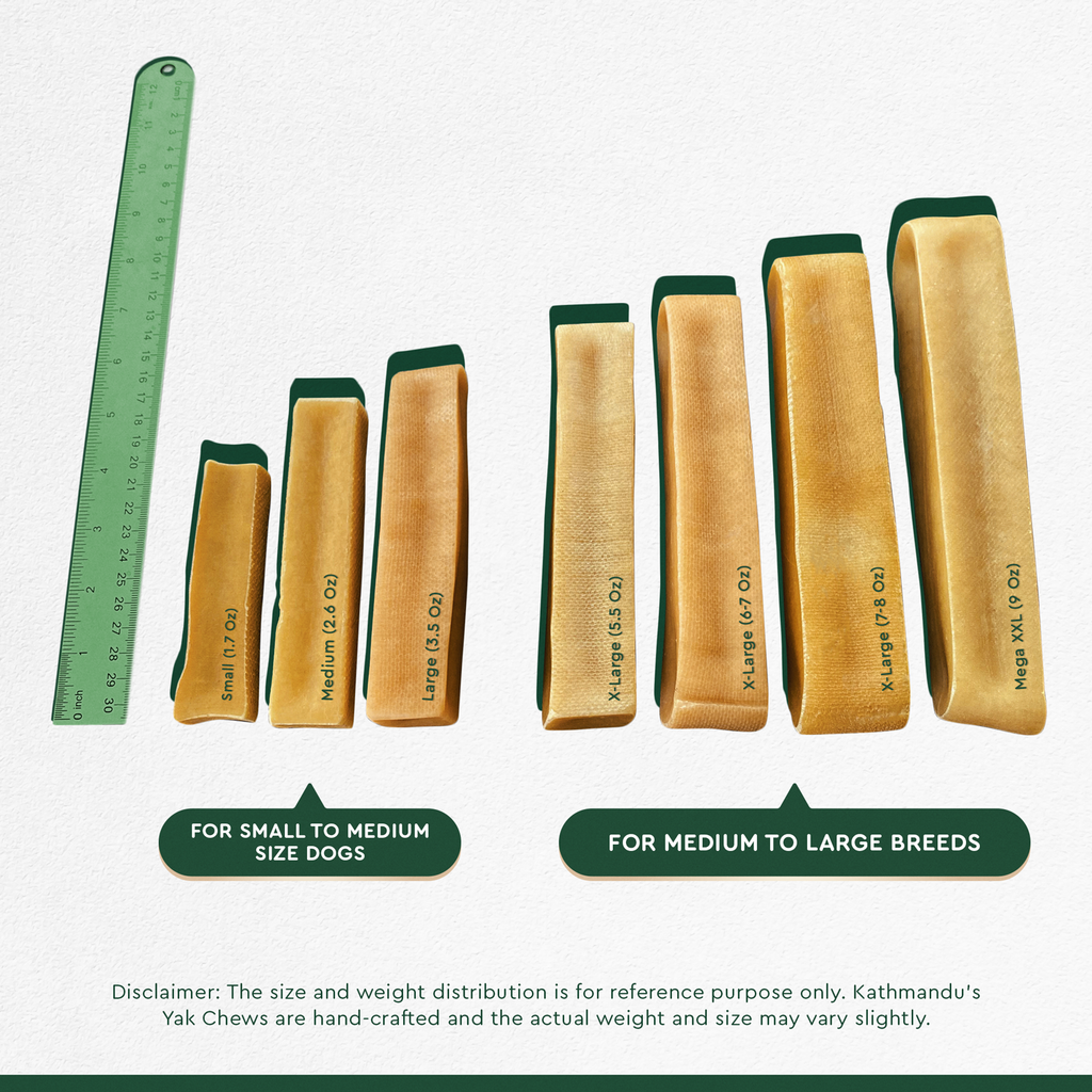 Himalayan Yak Chews - XXL - The Dog Shop