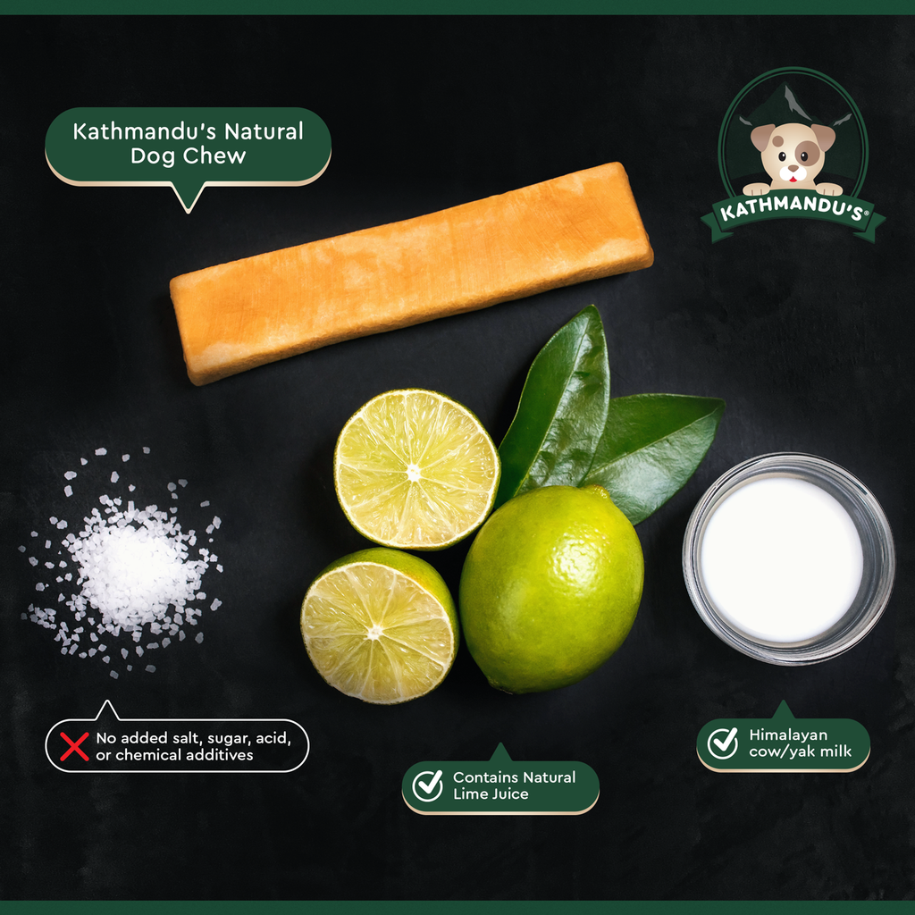 Himalayan Yak Chews - XXL - The Dog Shop