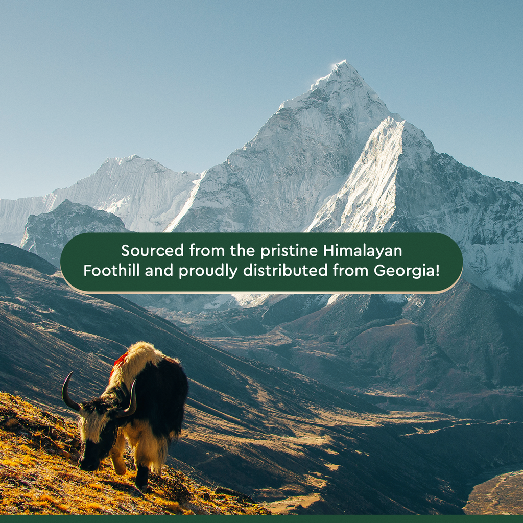 Himalayan Yak Chews - XXL - The Dog Shop