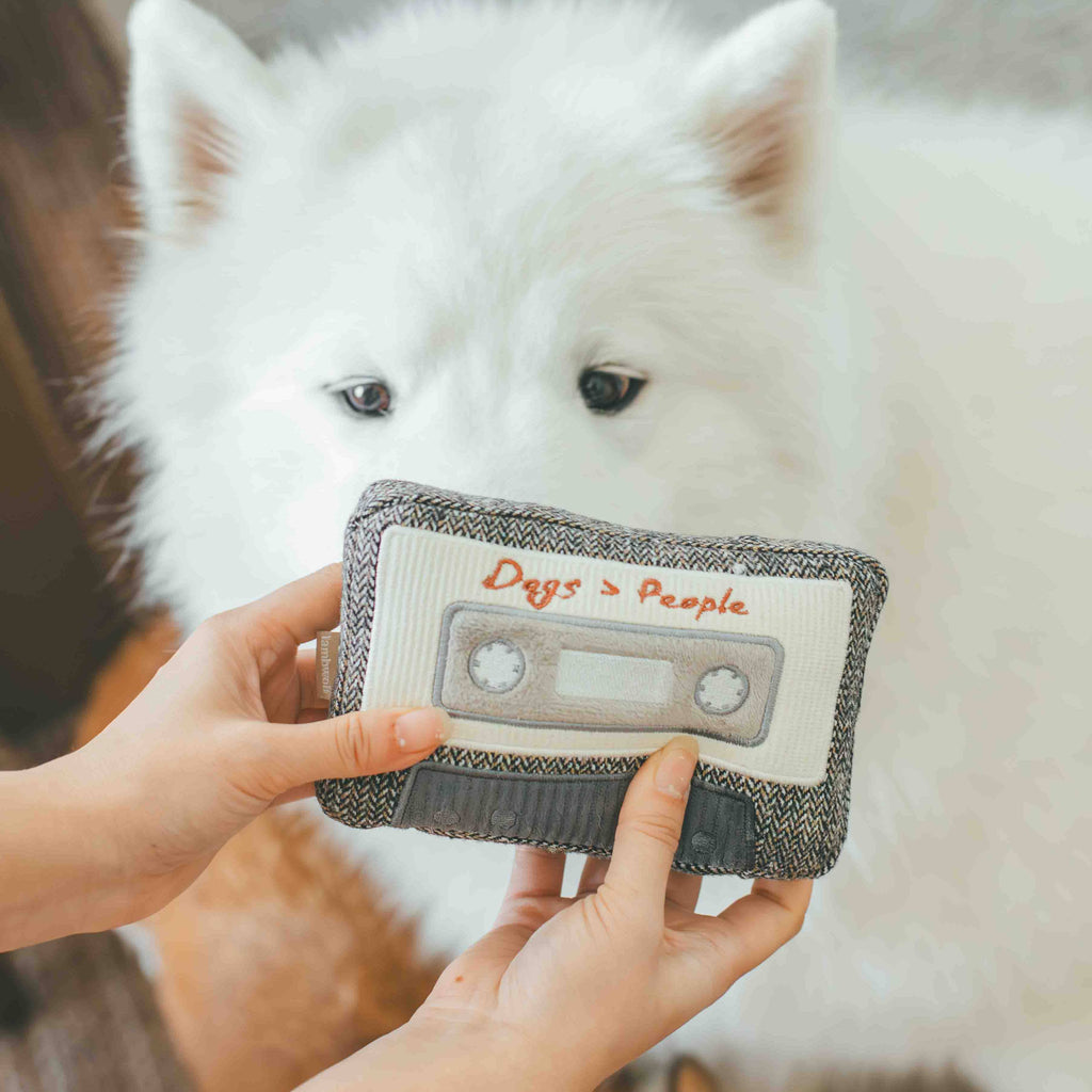 CASSETTE // ENRICHMENT DOG TOY - The Dog Shop