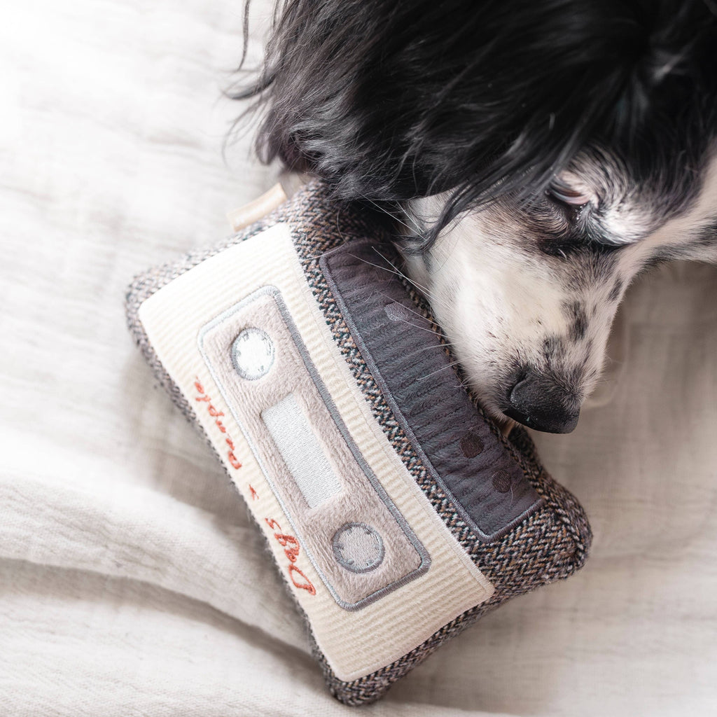 CASSETTE // ENRICHMENT DOG TOY - The Dog Shop