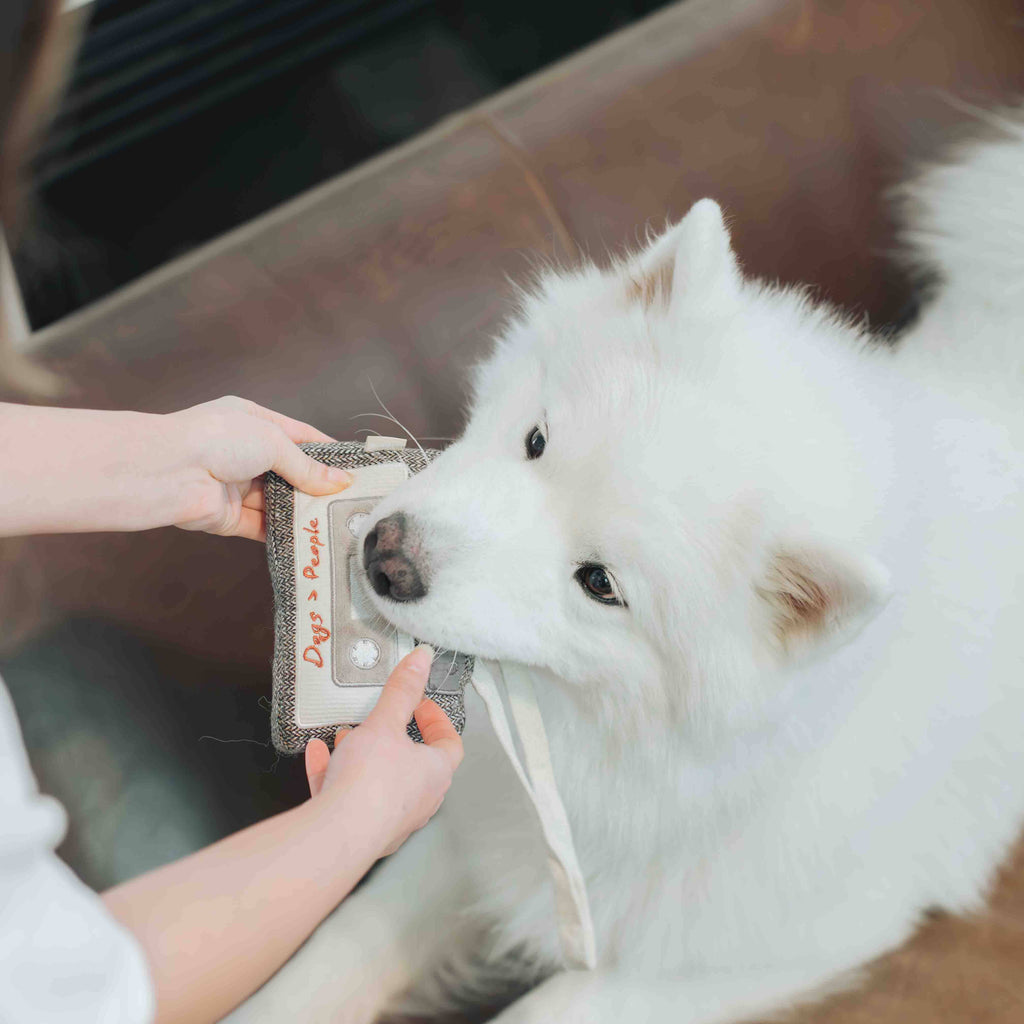 CASSETTE // ENRICHMENT DOG TOY - The Dog Shop