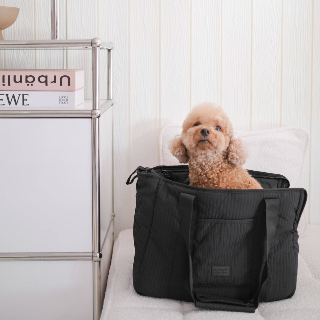 Lambwolf Collective City Pet Carrier - The Dog Shop