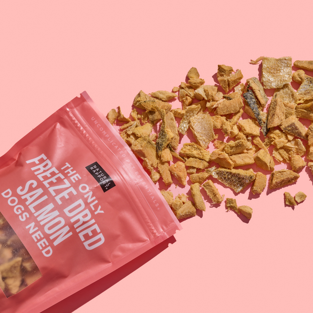 The Only Freeze Dried Salmon Dogs Need - The Dog Shop