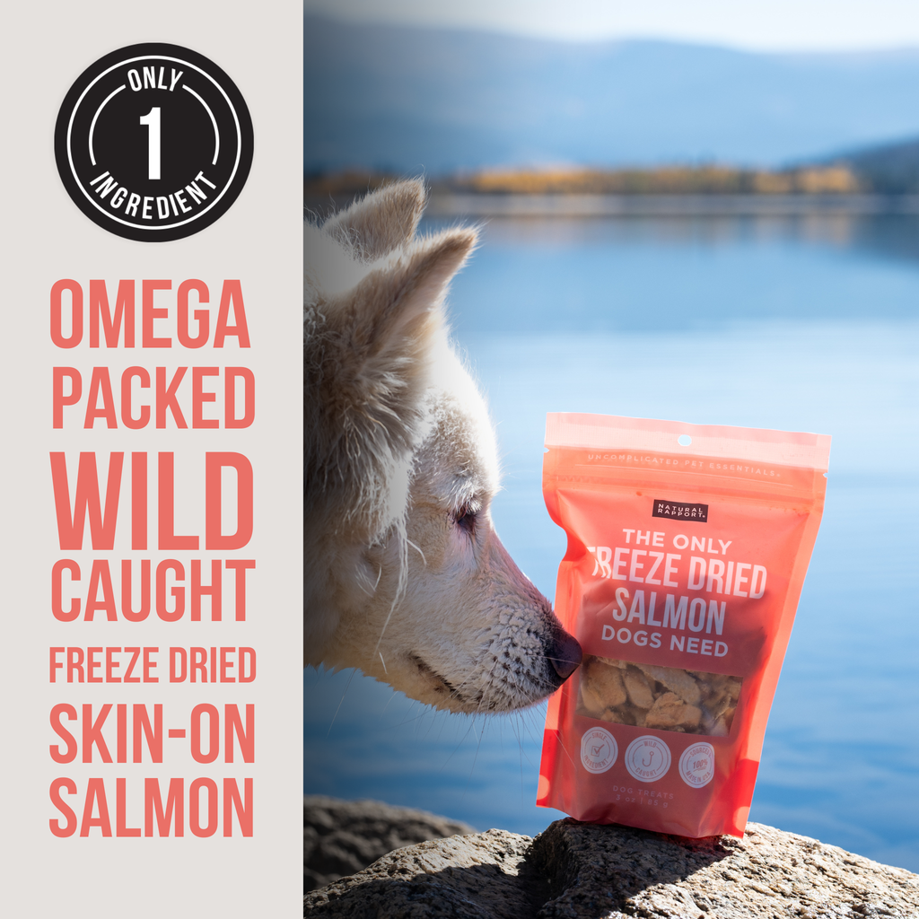 The Only Freeze Dried Salmon Dogs Need - The Dog Shop