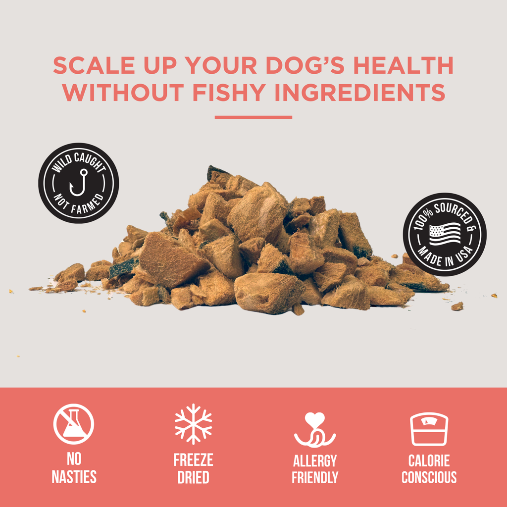 The Only Freeze Dried Salmon Dogs Need - The Dog Shop