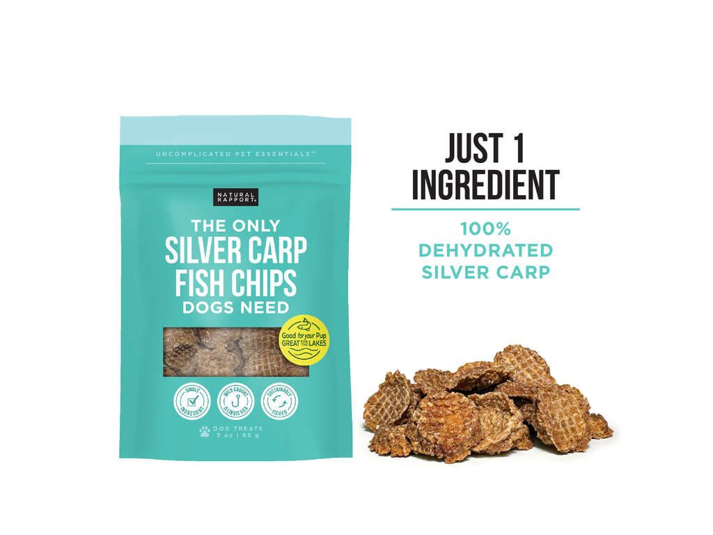 The Only Silver Carp Fish Chips Dogs Need - The Dog Shop